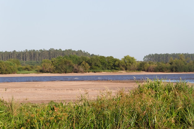 zomerlandschap aan de oevers van de rivier