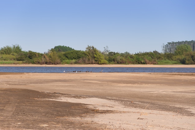 Zomerlandschap aan de oevers van de rivier