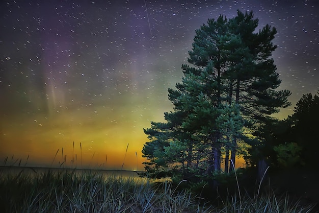zomerlandschap aurora borealis, uitzicht op de uitstraling van de lucht, abstracte nacht natuur
