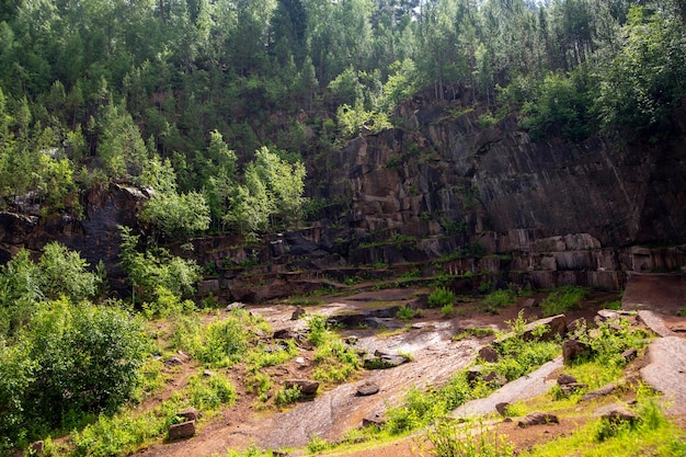 Zomerlandschap beboste berghelling rotsen zonnestralen