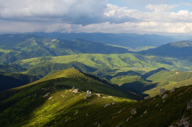 Zomerlandschap in de bergen