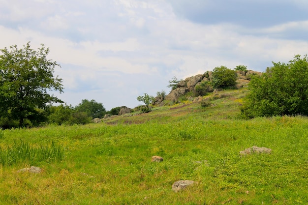 Zomerlandschap met bomen, heuvels en rotsen