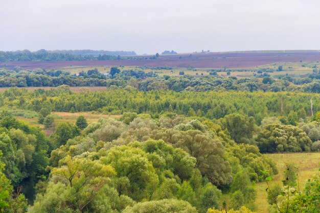 Zomerlandschap met groene heuvels, bomen en velden