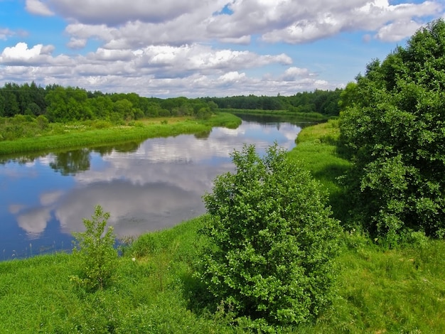 Zomerlandschap met rivier