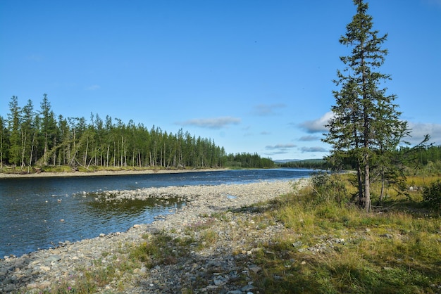 Zomerlandschap van de noordelijke rivier