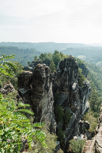 Zomerochtend landschap op de rotsen van Saksisch Zwitserland Achtergrond Aard van Europa Verticaal