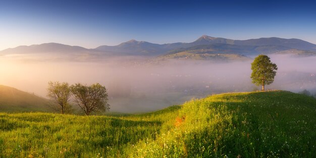 Zomerpanorama van de ochtendmist over een bergdorp