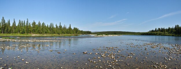 Zomerpanorama van de taiga-rivier in de Polar Oeral