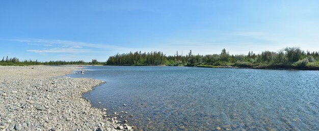 Zomerpanorama van de taiga-rivier in de Polar Oeral