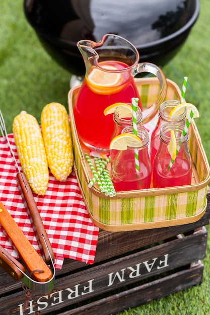 Zomerpicknick met kleine houtskoolgrill in het park.