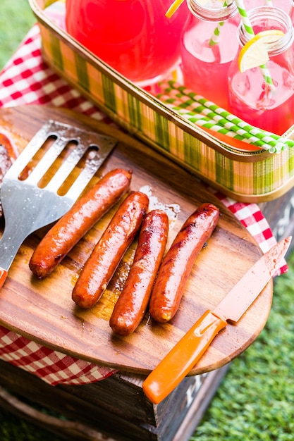 Zomerpicknick met kleine houtskoolgrill in het park.