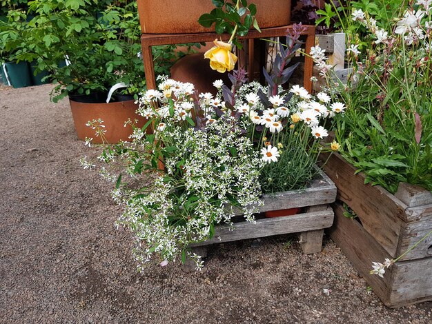 Foto zomers arrangement van mooie zomerbloemen in een houten kist in een bloemenwinkel