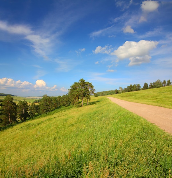 Zomers landschap met weg