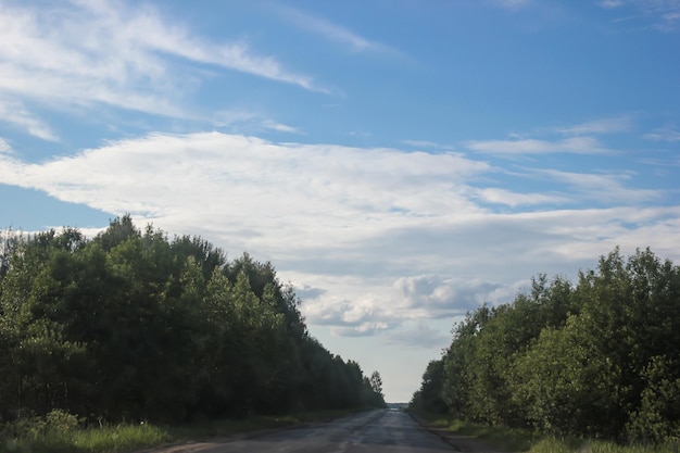 Zomers landschap op de weg