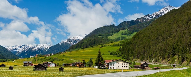 Zomers uitzicht op het Alpenlandschap