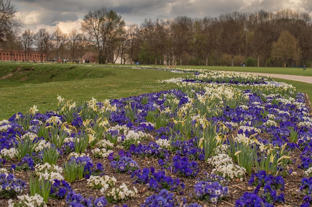 Zomers uitzicht op het park Ingolstadt