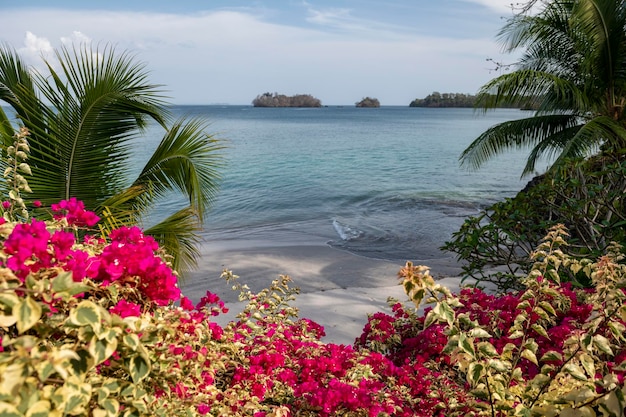 Zomerseizoen aan de kust Las Perlas-archipel Panama Midden-Amerika