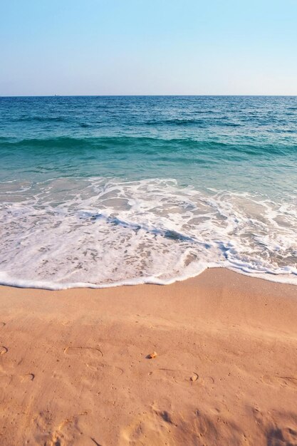 Zomerstrand Zee