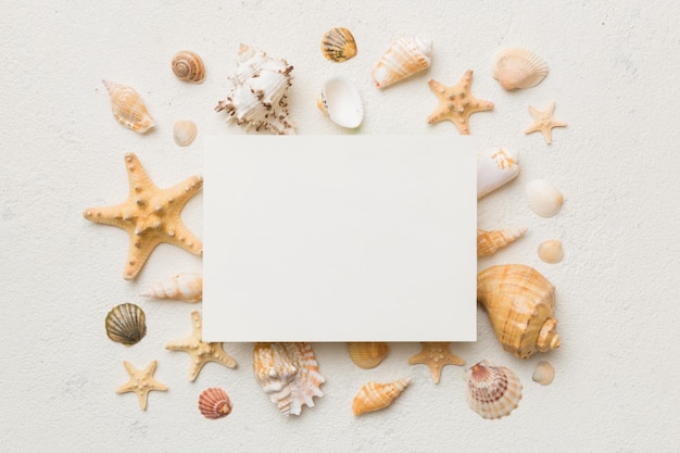 Zomertijd concept met lege wenskaart en blanco wit papier op gekleurde achtergrond schelpen van de oceaan kust in de vorm van frame gescheiden met ruimte voor tekst bovenaanzicht