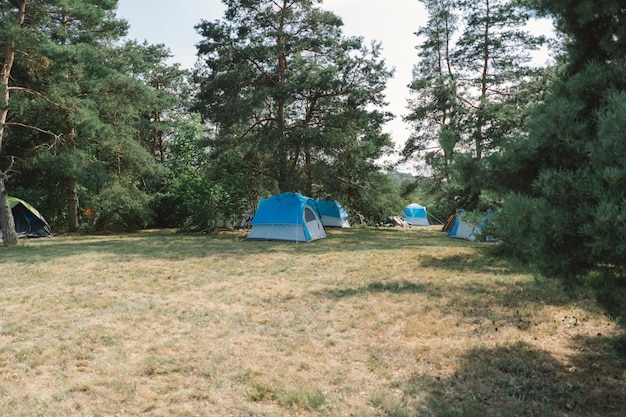 Foto zomertocht met kleurrijke tenten te midden van bosbomen.