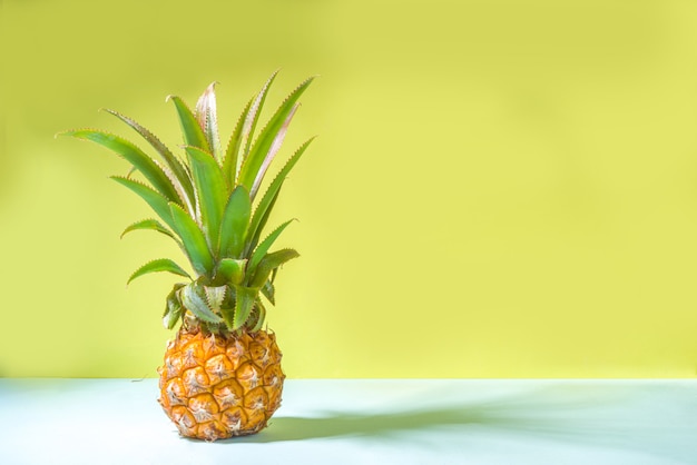 Zomervakantie en vakantieconcept, met vers tropisch ananasfruit, flatlay