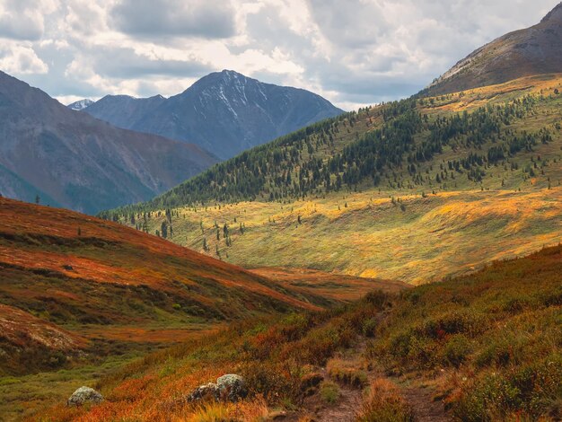 Zon na de regen over het zomerbergplateau Dramatisch regenachtig alpenlandschap in de herfstvallei en donkere bergscherpte in lage wolken Sfeervol geweldig uitzicht om door de berg te wandelen