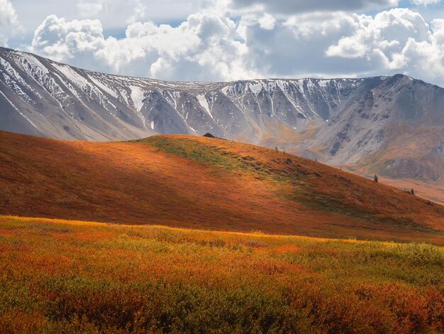 Zon na de regen over het zomerbergplateau Dramatisch regenachtig alpenlandschap in de herfstvallei en donkere bergscherpte in lage wolken Sfeervol geweldig uitzicht om door de berg te wandelen