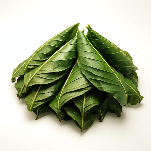 Zongzi leaves photography highdefinition studio white background white background