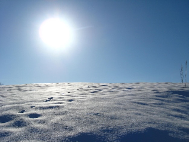 Zonne winterlandschap