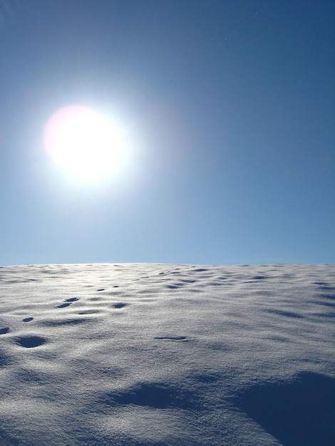 Zonne winterlandschap