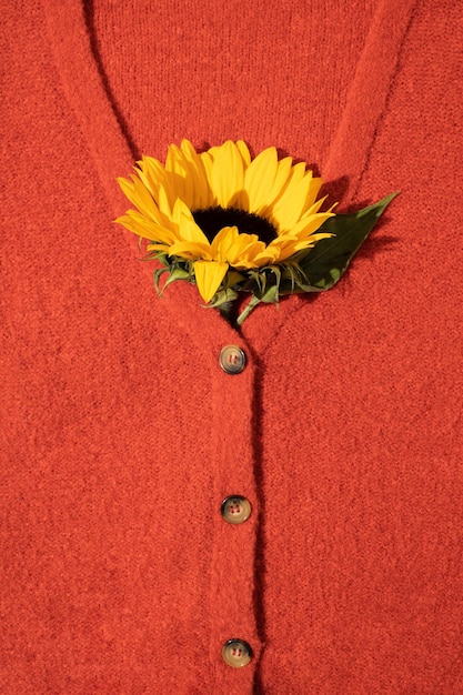 Zonnebloem in rode gebreide trui met bruine knopen plat lag bovenaanzicht herfst achtergrond concept