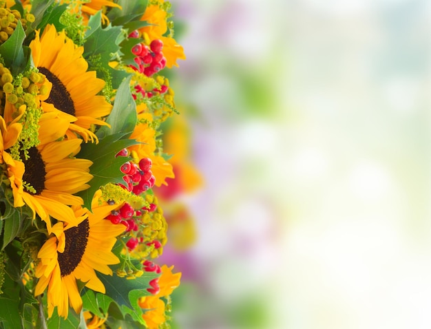 Zonnebloemen met groene bladeren