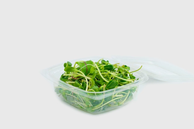 Zonnebloemscheuten en spruiten in een plastic doos op een lege achtergrond isoleren Groene microgreen