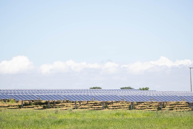 Zonneboerderij groene energie van zonlicht toont veel zonnecelplaat. Selectieve aandacht.