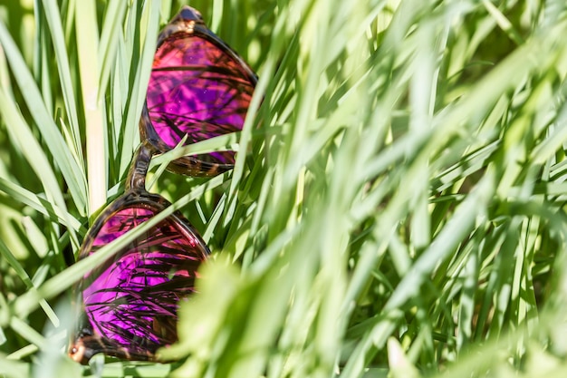 Zonnebril ligt in het groene gras in de lenzen waarvan de lucht en planten worden weerspiegeld