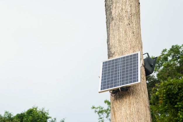 Zonnecel installeren op de boom