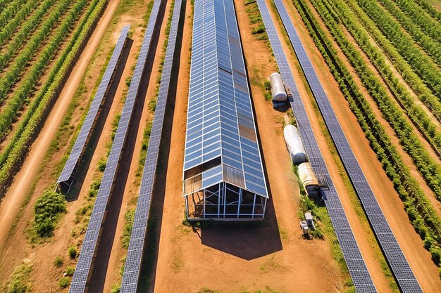 Zonnepanelen in het veld