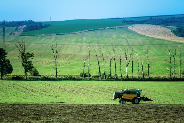 Zonneschijnlandschap van groene gebieden