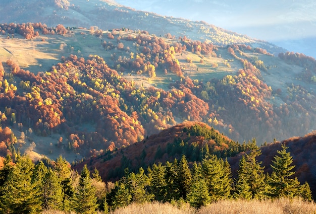 Zonnestraal en herfst mistige ochtend uitzicht op de bergen met kleurrijke bomen op de helling.