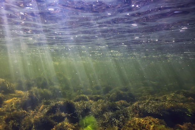 zonnestralen onder water landschap, zeegezicht zoet water rivier duiken