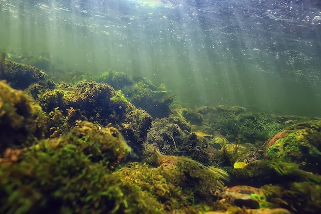 zonnestralen onder water landschap, zeegezicht zoet water rivier duiken