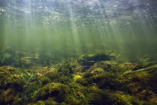 zonnestralen onder water landschap, zeegezicht zoet water rivier duiken