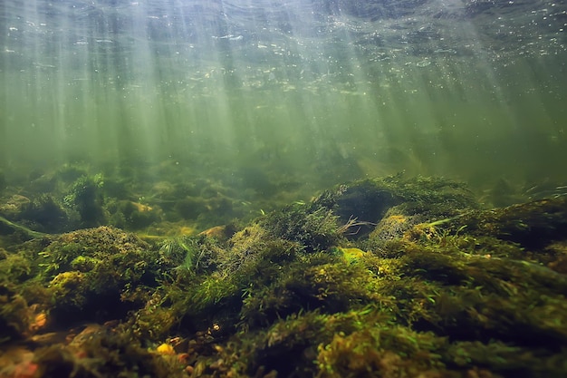 zonnestralen onder water landschap, zeegezicht zoet water rivier duiken