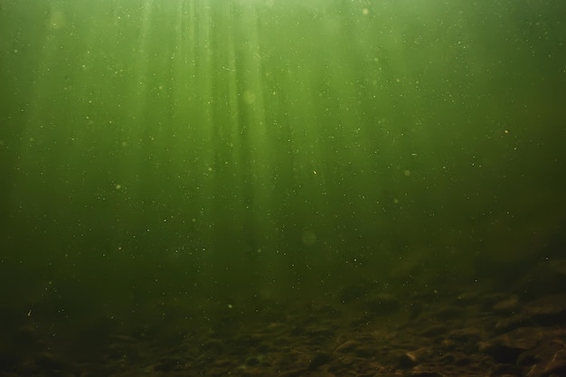 zonnestralen onder water landschap, zeegezicht zoet water rivier duiken