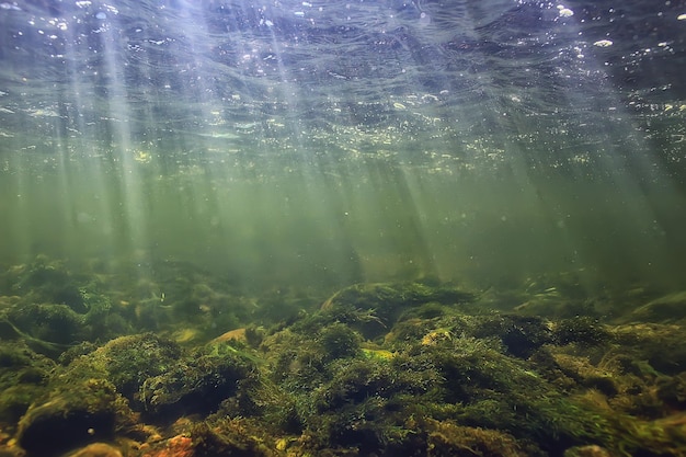 zonnestralen onder water landschap, zeegezicht zoet water rivier duiken