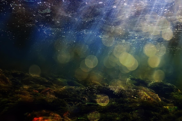 zonnestralen onder water landschap, zeegezicht zoet water rivier duiken