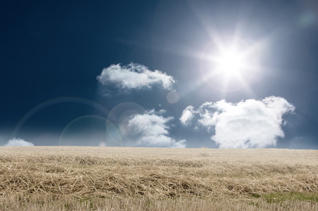 Foto zonnig bruin landschap