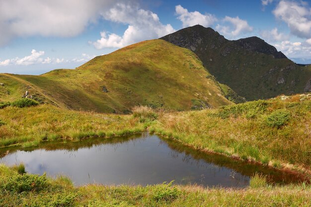 Zonnig daglandschap van de bergen