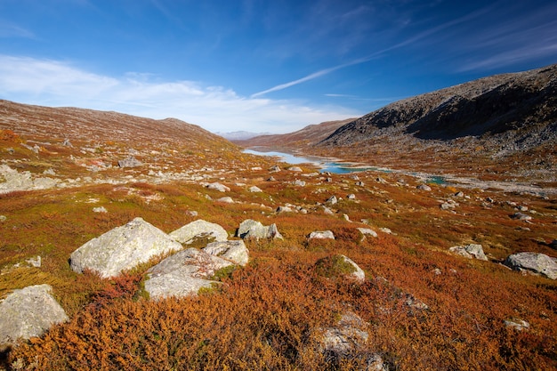 Zonnig de herfstlandschap Noorwegen Gamle Strynefjellsvegen