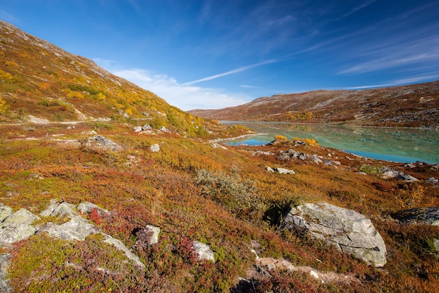 Zonnig de herfstlandschap Noorwegen Gamle Strynefjellsvegen